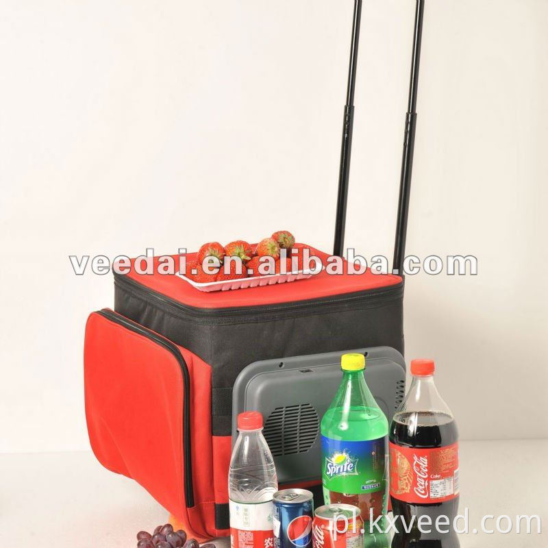 Fabryka hurtowa mini przenośna zamrażarka zimnych napojów